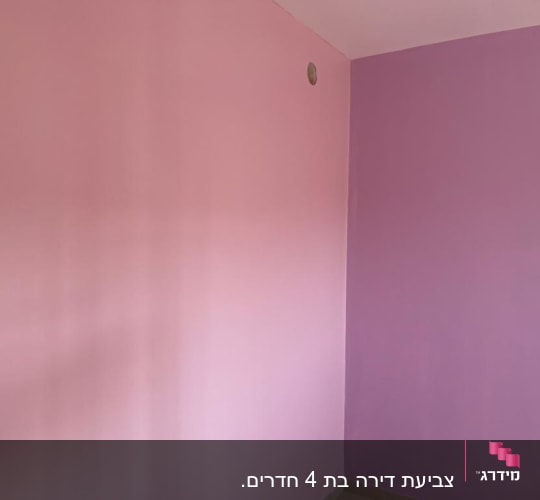 קיר צבוע בגוונים ורוד וסגול